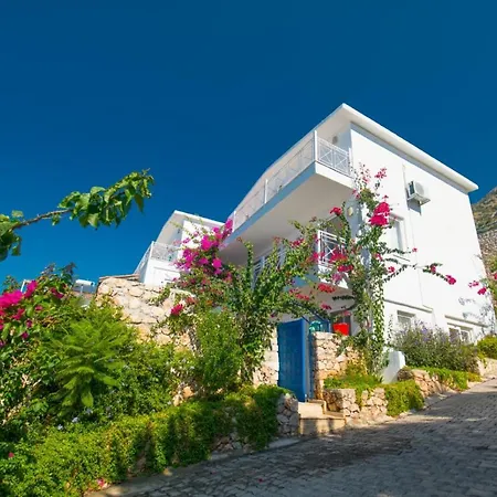 Nar * Kalkan