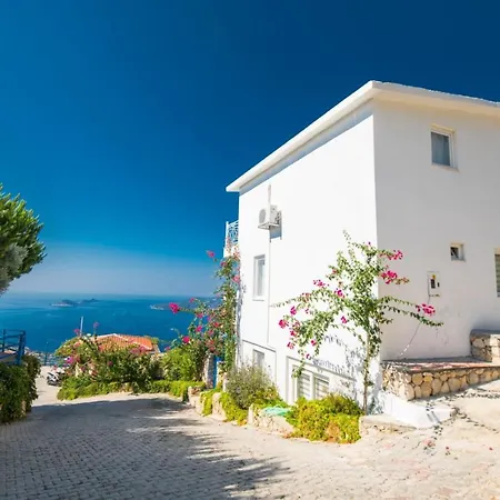 Nar Kalkan